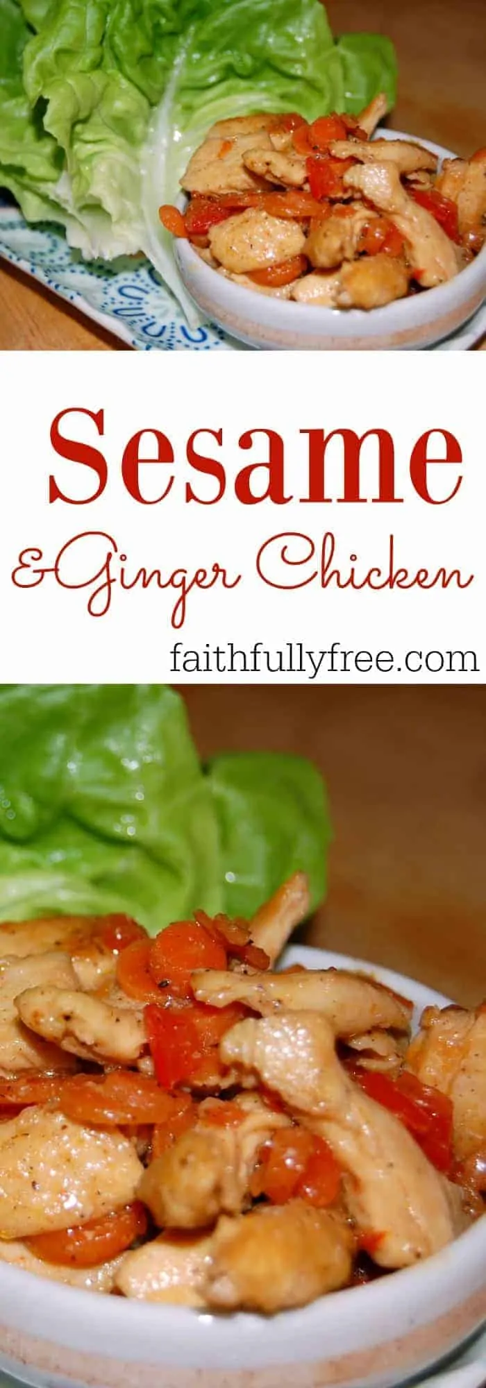 Asian Family Dinners Sesame and Ginger Chicken