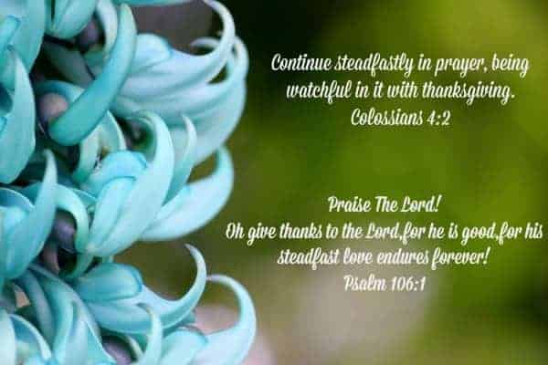 Colossians-4-2-Psalm-106-1