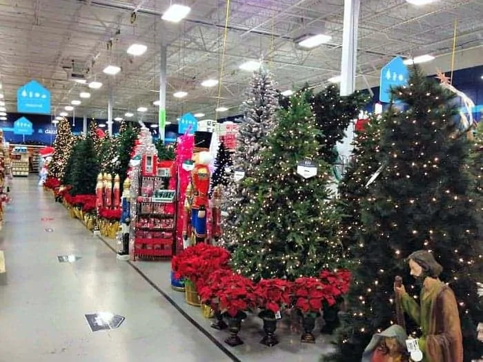 AtHome Store Christmas Tree Selection 