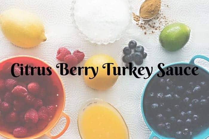 Cirtus Berry Turkey Sauce