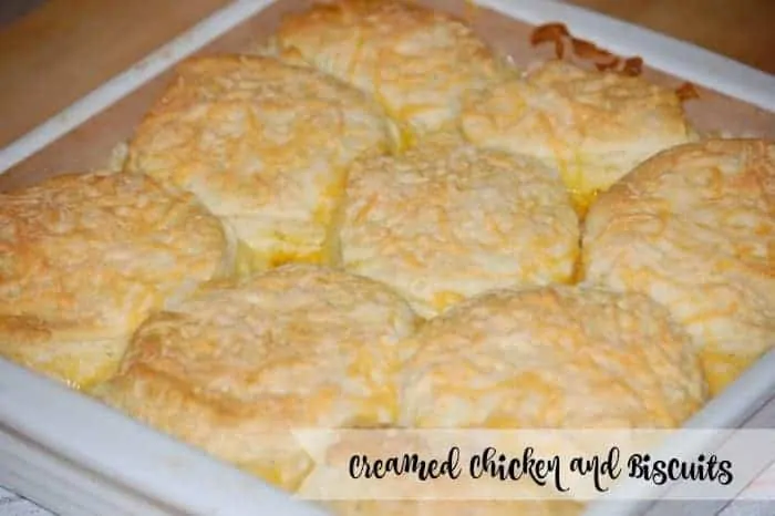 country style chicken and biscuits recipe