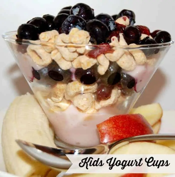 Kids Yogurt Cups Recipe