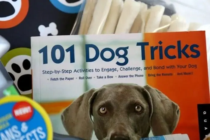 101 Dog Tricks Book