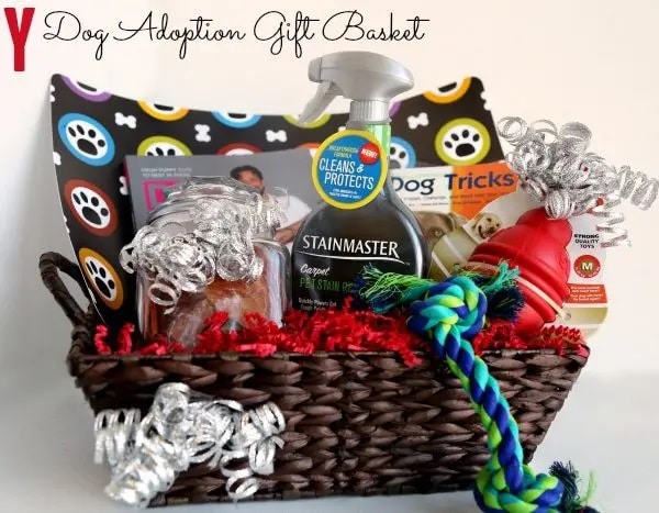 DIY Dog Adoption Gift Basket Tutorial
