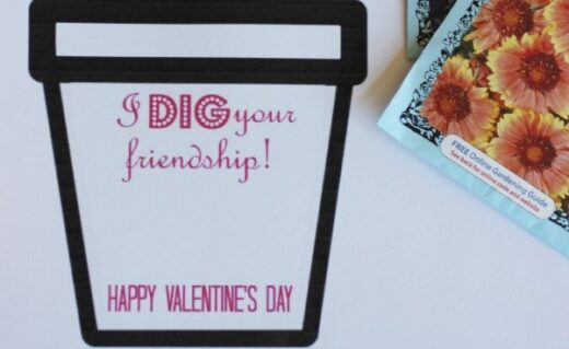 DIY Seed Packet Valentines | Faithfully Free
