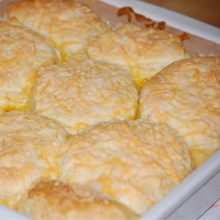 Golden baked biscuits topped with shredded cheese, nestled in a casserole dish with creamy chicken gravy underneath.