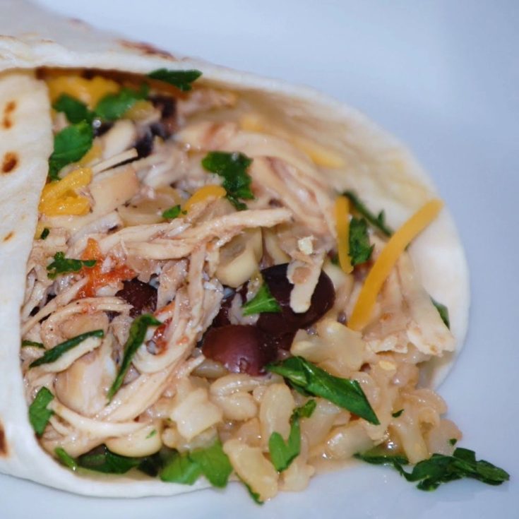 Soft flour tortilla filled with shredded chicken, black beans, corn, shredded cheese, and chopped cilantro on a white background.